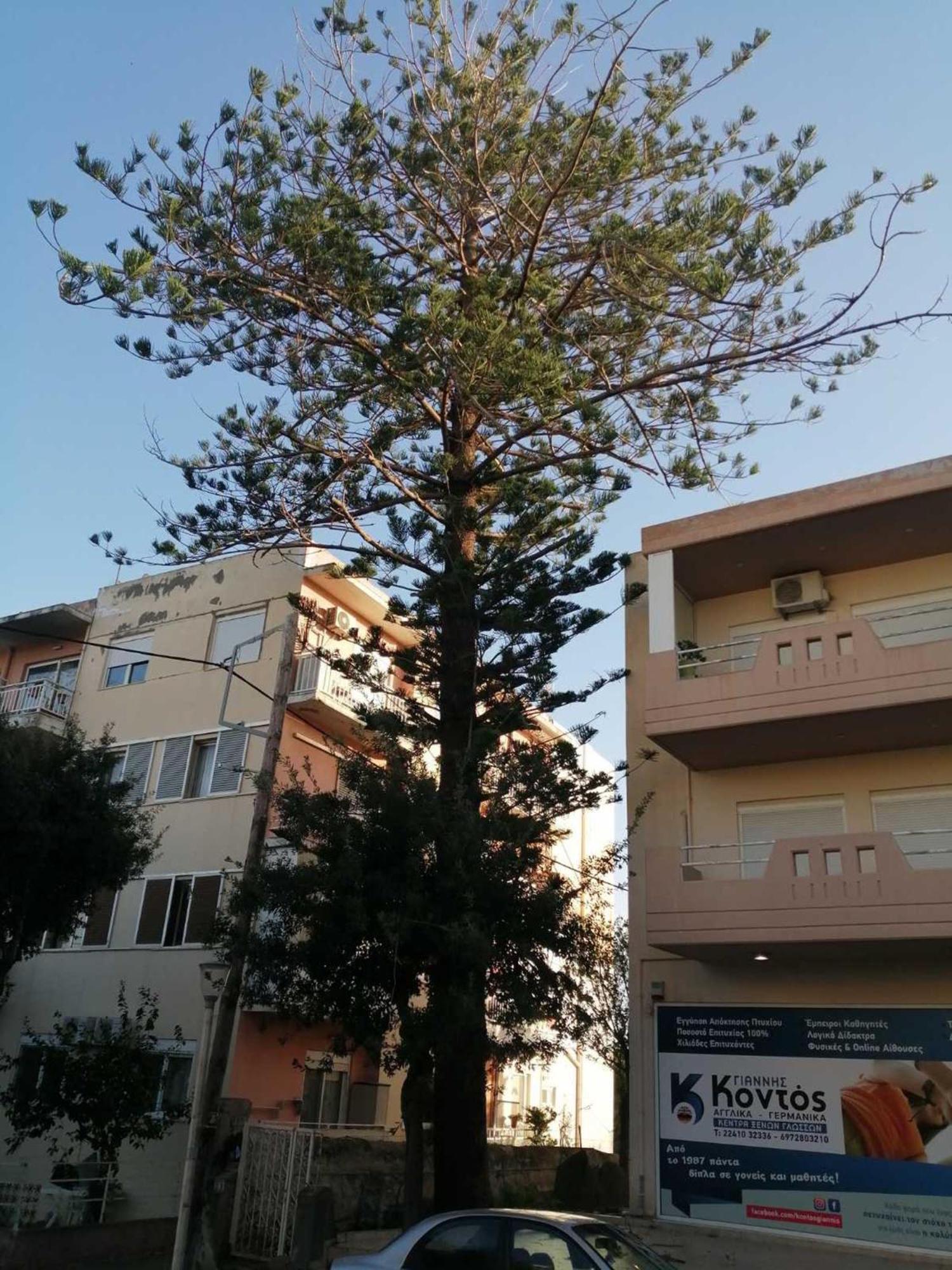 Apartment 29 Rhodes City ภายนอก รูปภาพ